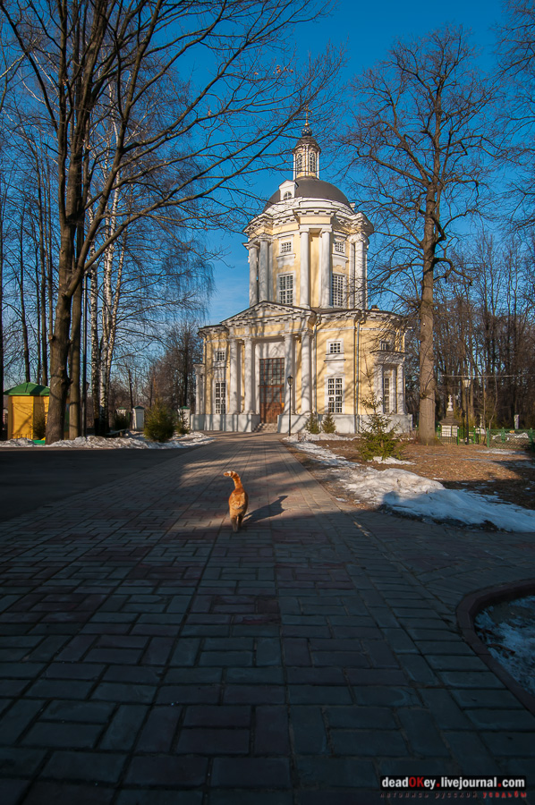 усадьба Виноградово