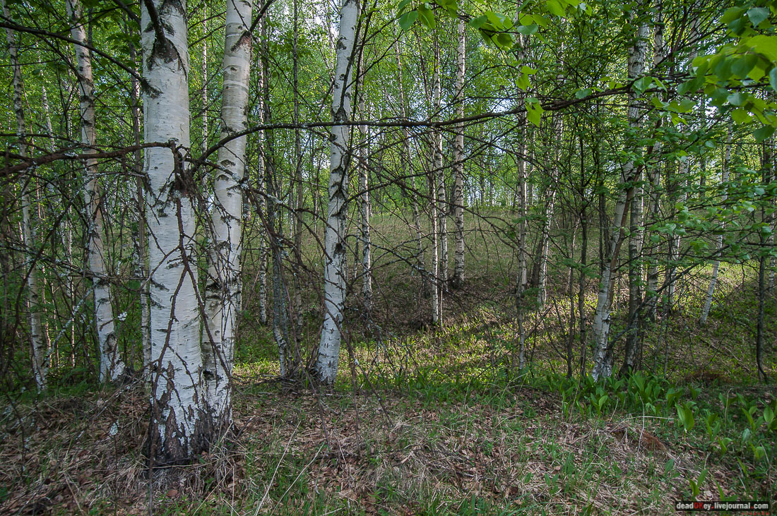 заброшенная деревня Сяпчозеро, Карелия, Кондопожский район