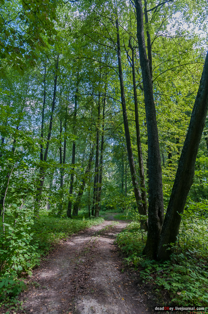 усадьба Васильевское Повалишиных