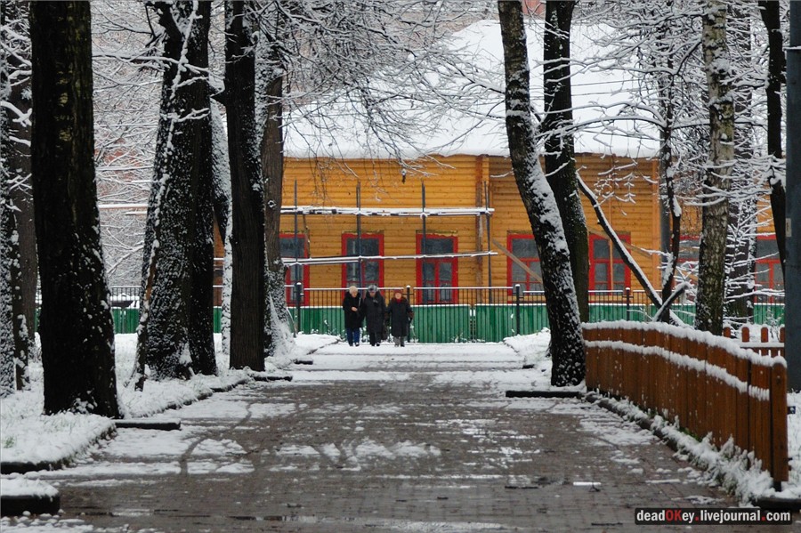 Бабушки в русских усадьбах