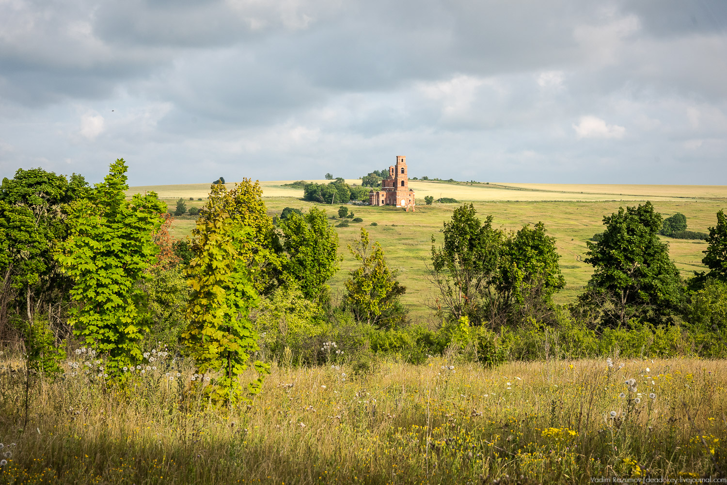 Липецкие усадьбы, Баловнево, Полибино, путешествие, экскурсия Усадебный экспресс