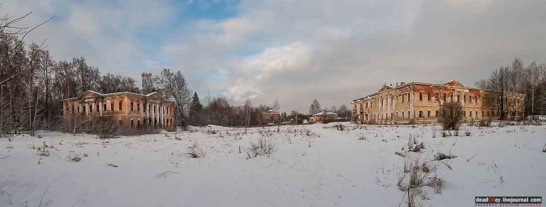 усадьба Гребнево, аукцион, съемки для телеканала Москва-24