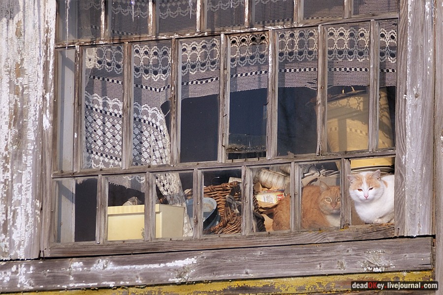 усадьба Костино Сабашниковых