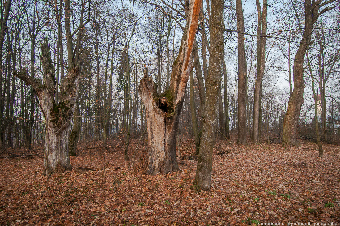 усадьба Синево, Истринский район