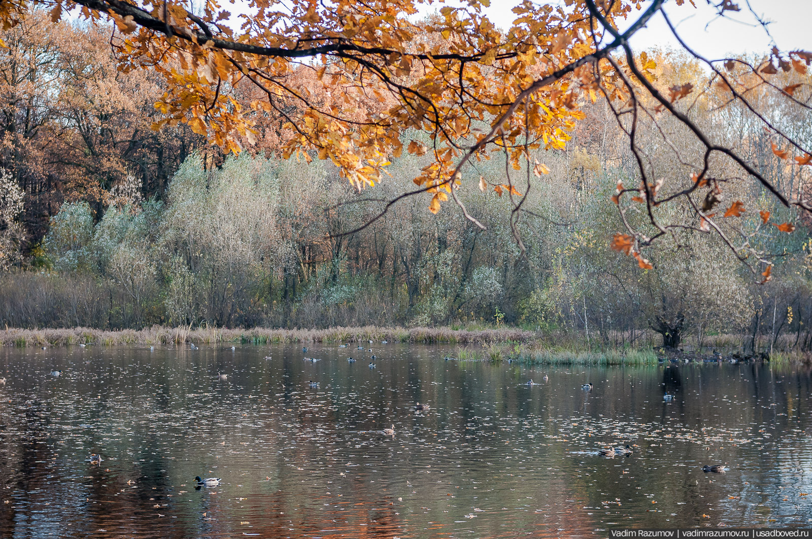 Терлецкий парк, усадьба Гиреево, Новогиреево, Перово