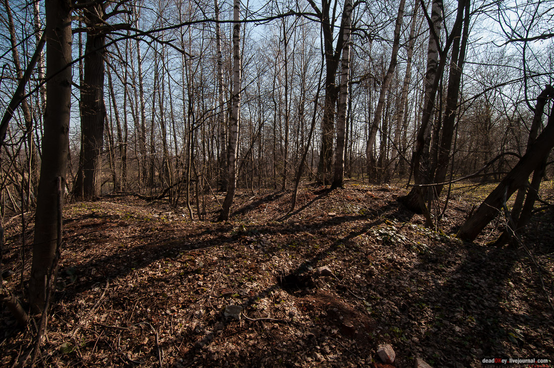 усадьба Савинское (исследование масонского парка)