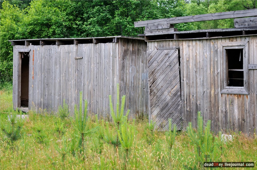 усадьба Паньково