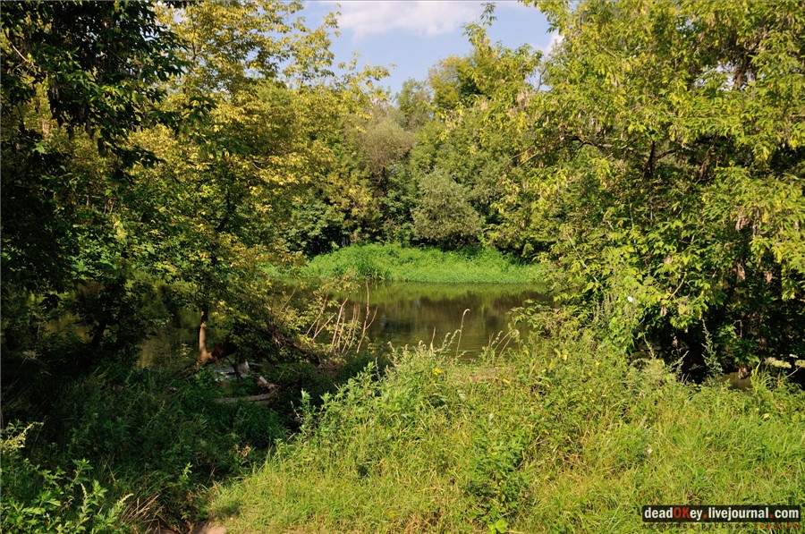 усадьба Никольское-Тимонино