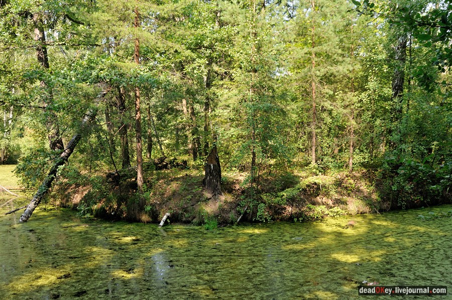 усадьба Пронино