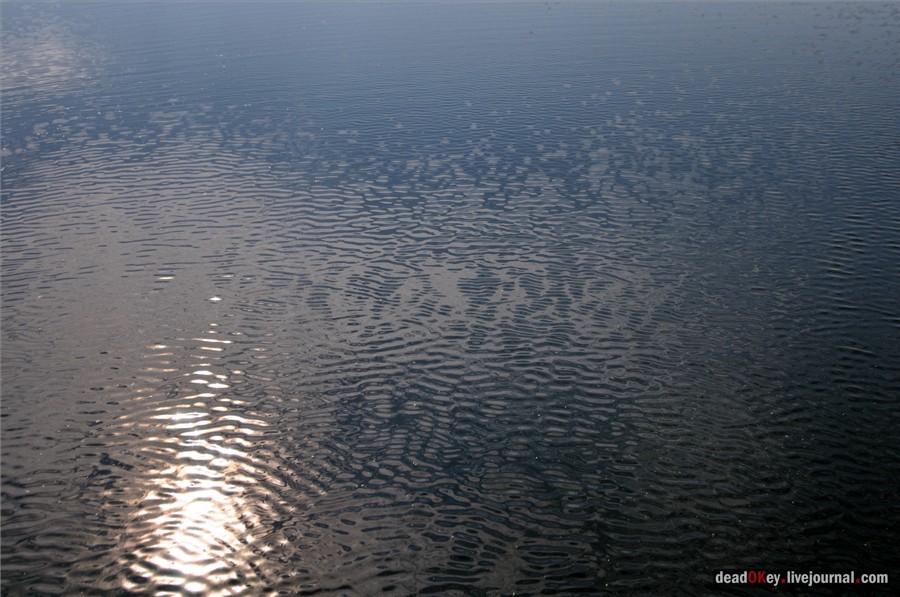 усадьба Троицкие Борки