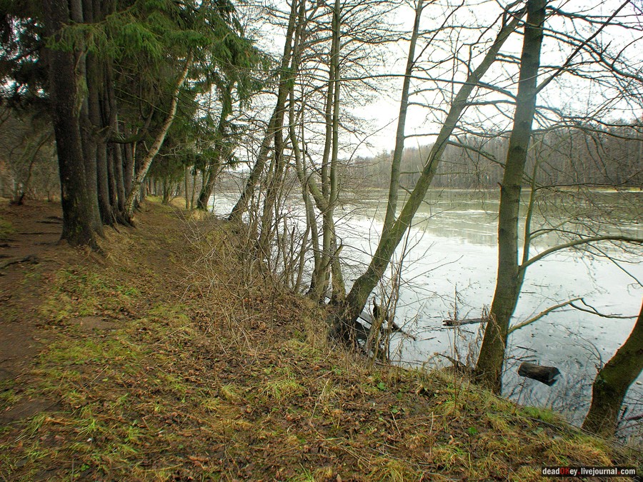 усадьба Глухово