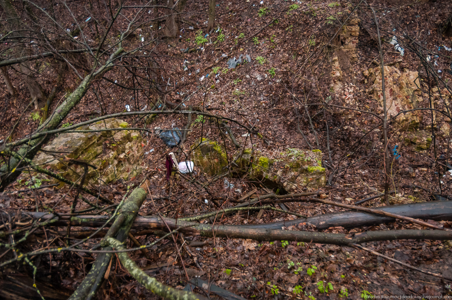 усадьба Петрово (Дурнево, Петрово-Дальнее), Красногорский район, Московская область