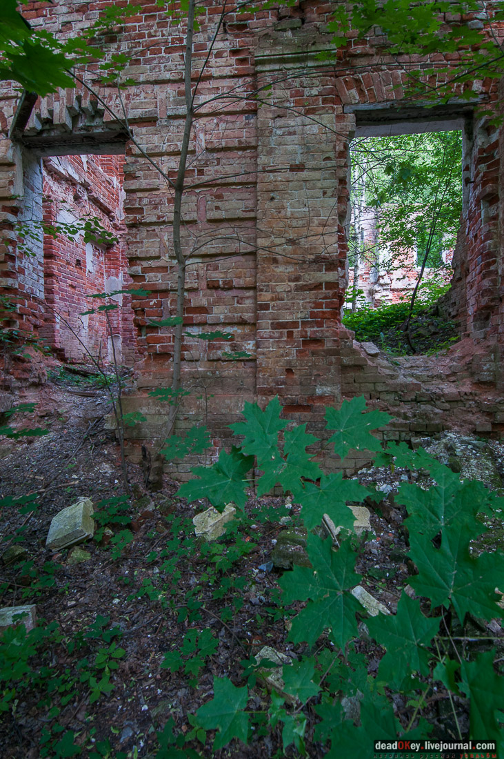 Усадьба Верзилово