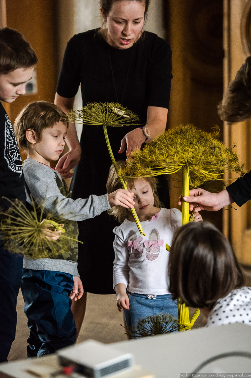 Ботанический сад, фондовая оранжерея, Экоэлектричка, борщевик