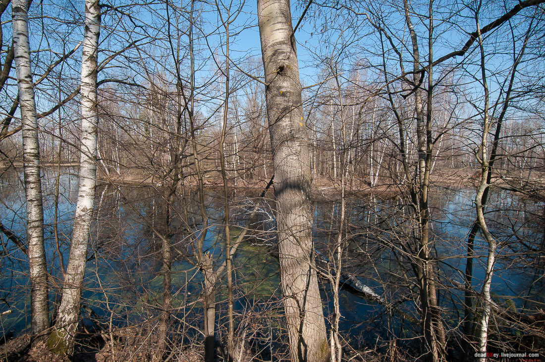 усадьба Савинское (исследование масонского парка)