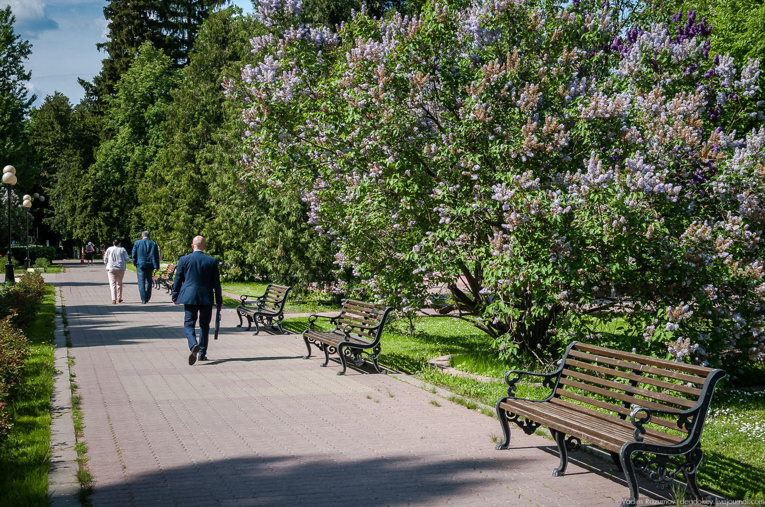 усадьба Валуево в мае