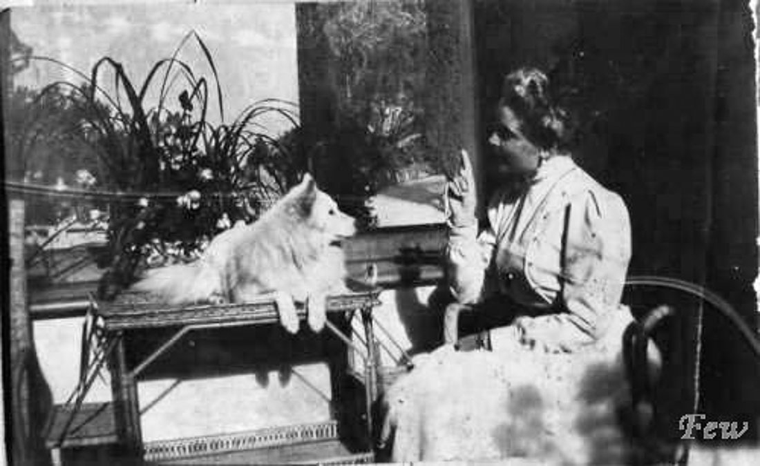 Юсуповский дворец в Кореизе, Крым