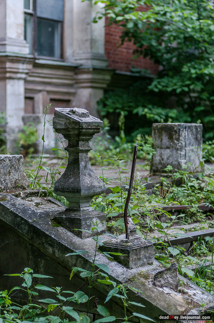 усадьба Быково, пресс-релиз встречи волонтеров