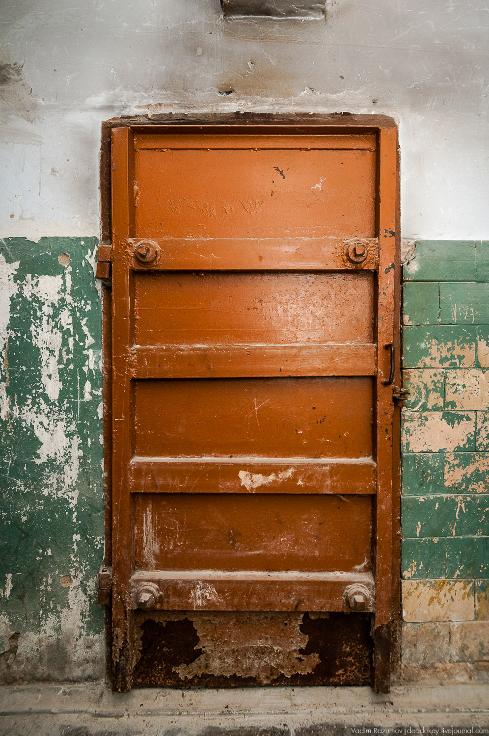 Фарфоровый завод, Вербилки