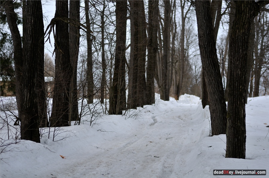 усадьба Ельдигино