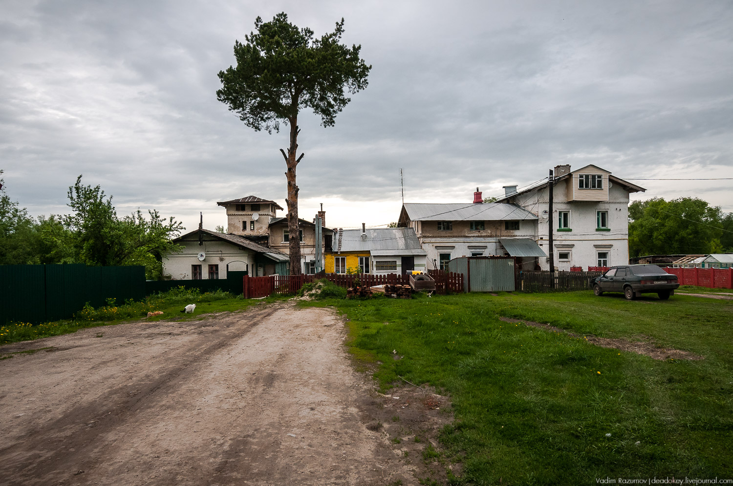 усадьба Старожилово, конезавод