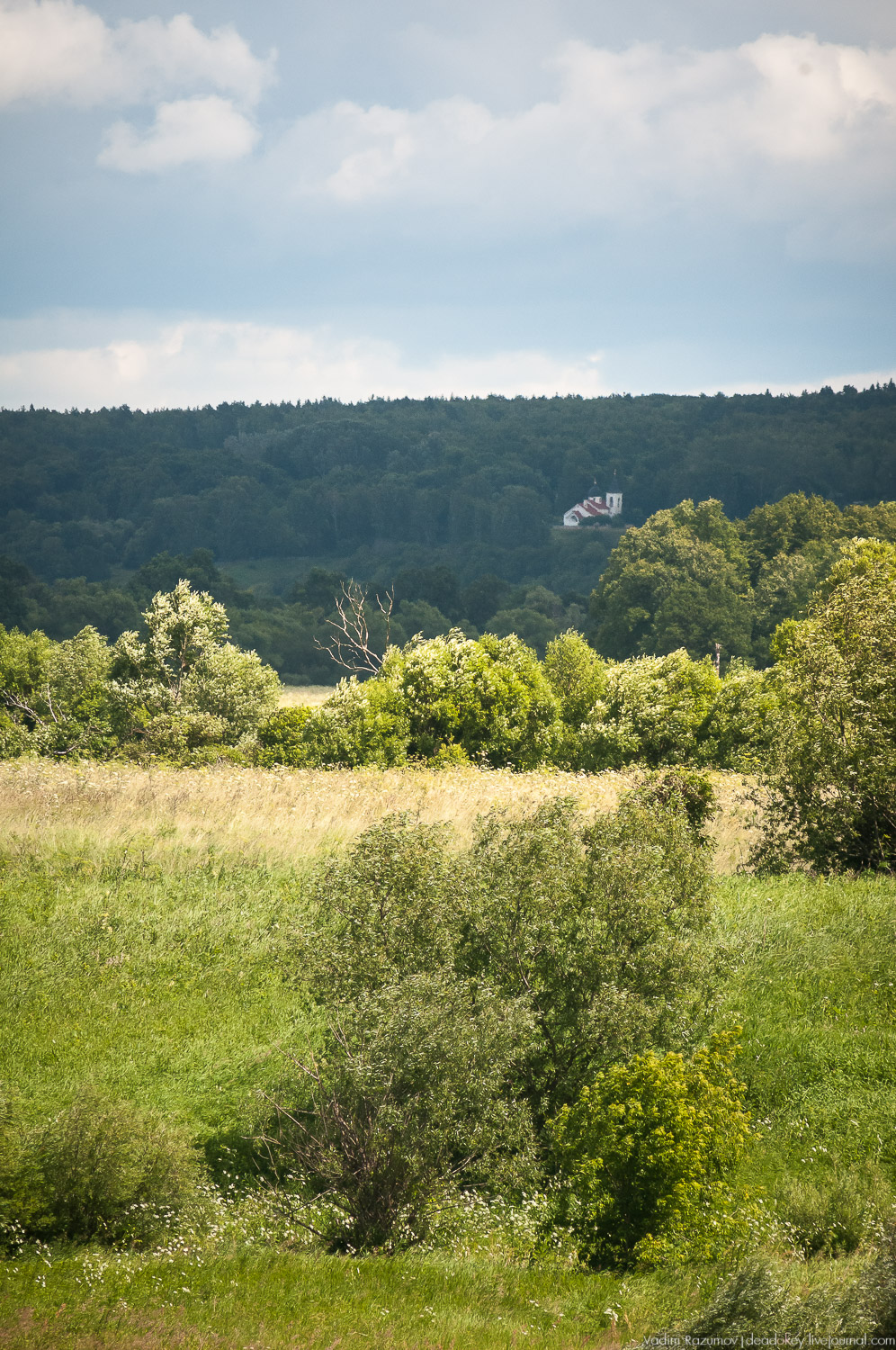 Бехово церковь Троицы Живоначальной, усадьба Поленово 