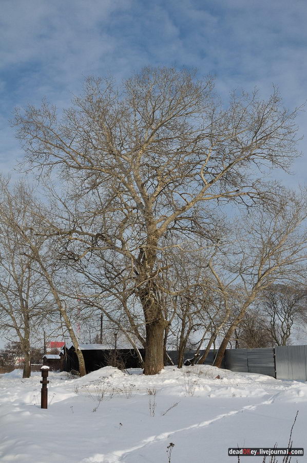 усадьба Милет