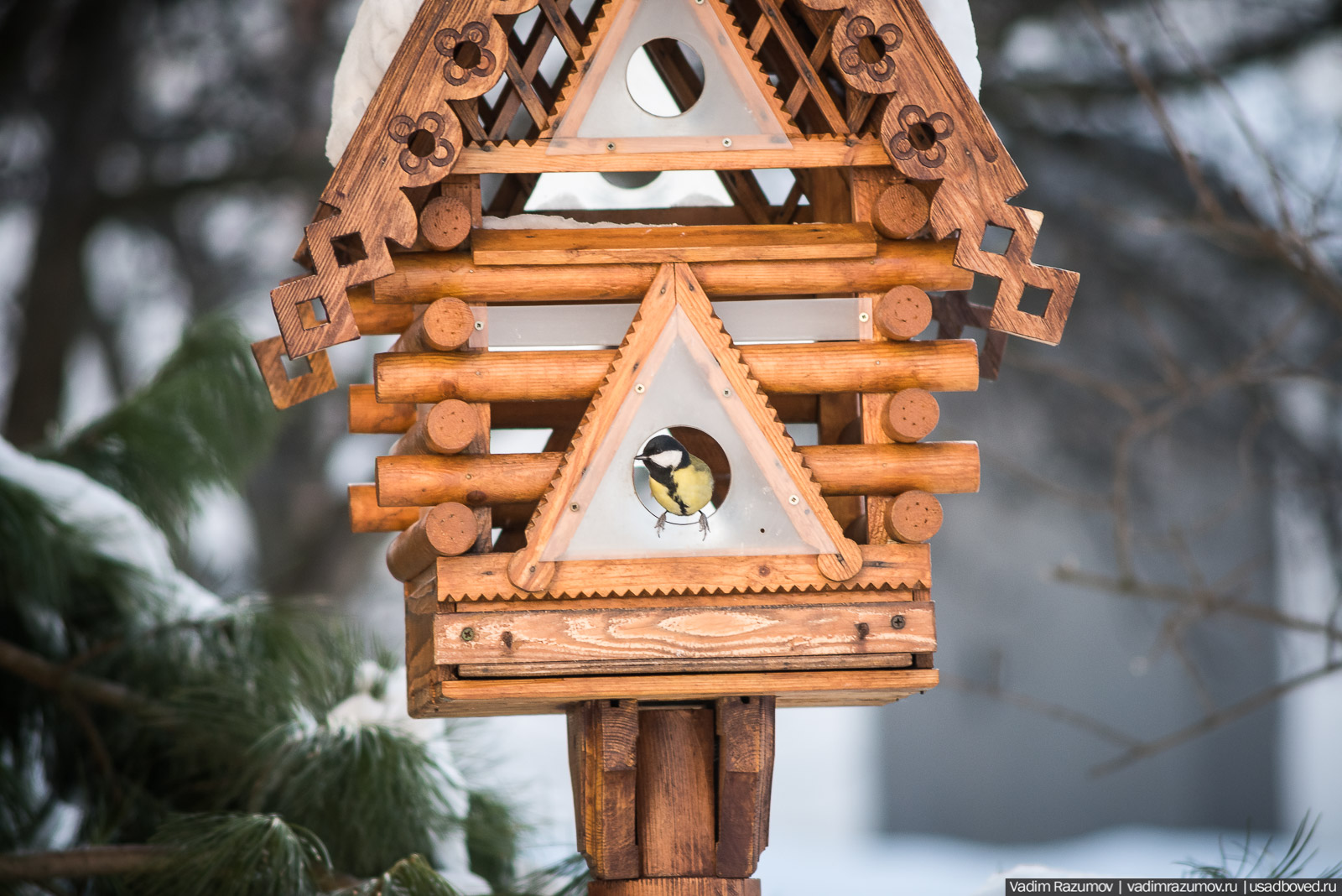 Толгский монастырь, Ярославль