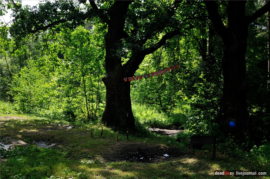 усадьба Алмазово