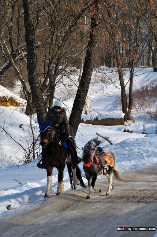 усадьба Троицкое-Кайнарджи