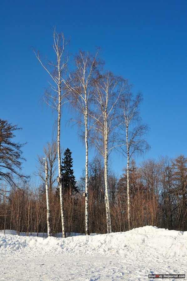 усадьба Архангельское-Тюриково