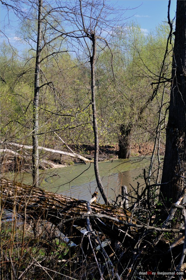 усадьба Орехово