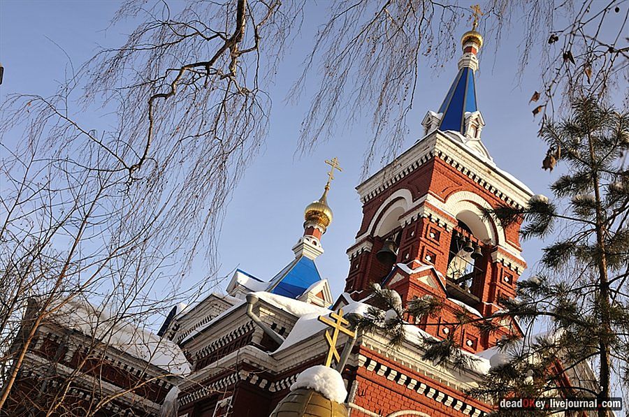 усадьба Осеченки