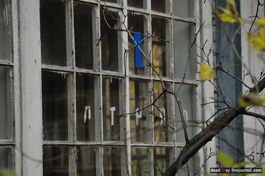 усадьба Жуково