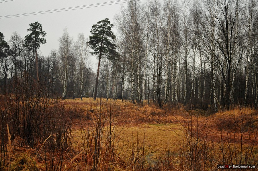 усадьба Савинское