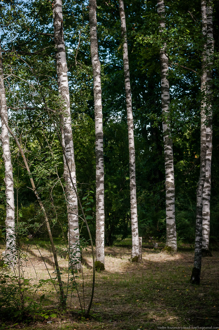 усадьба Барсуково