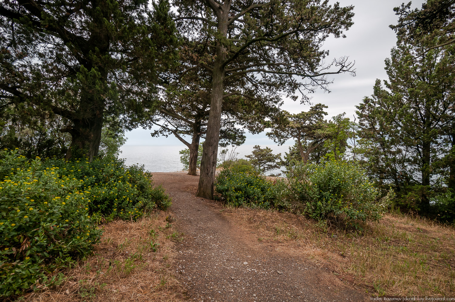 Алупка, Воронцовский дворец, Крым