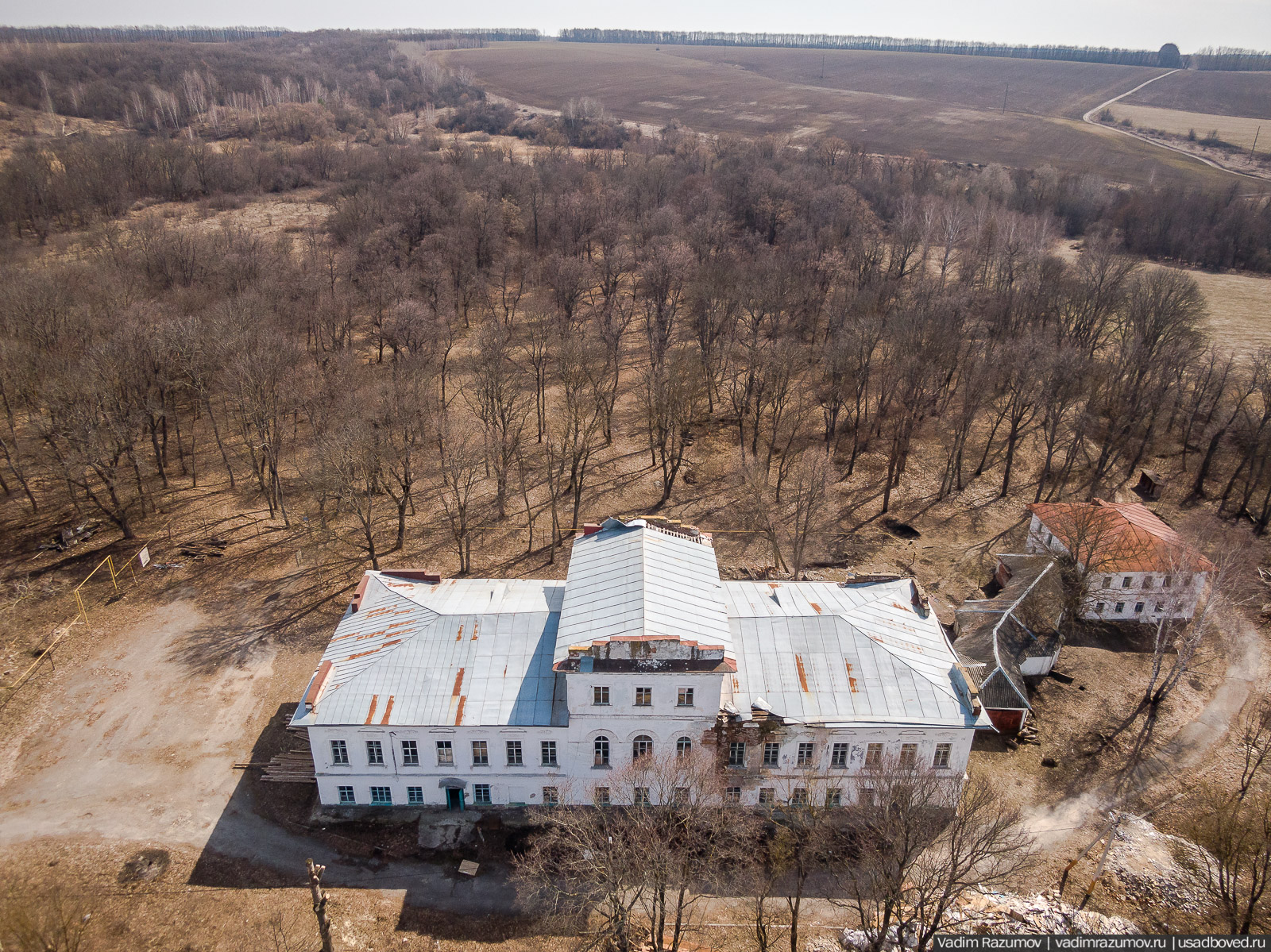 Пролески в усадьбе Репец, Задонский район, Липецкая область