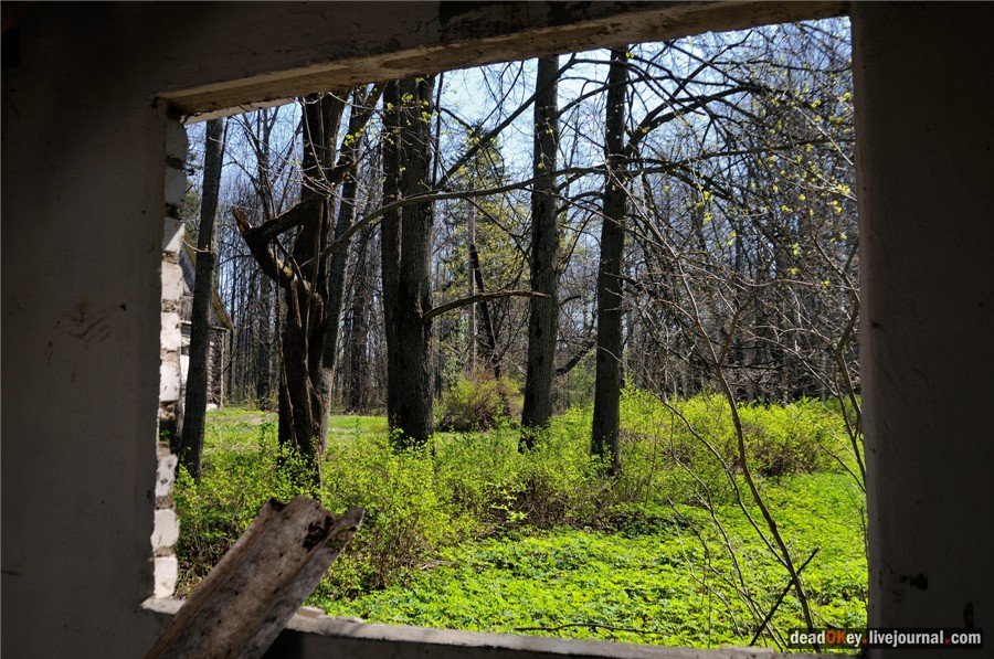 усадьба Андреевское-Туркино (Перематкино)