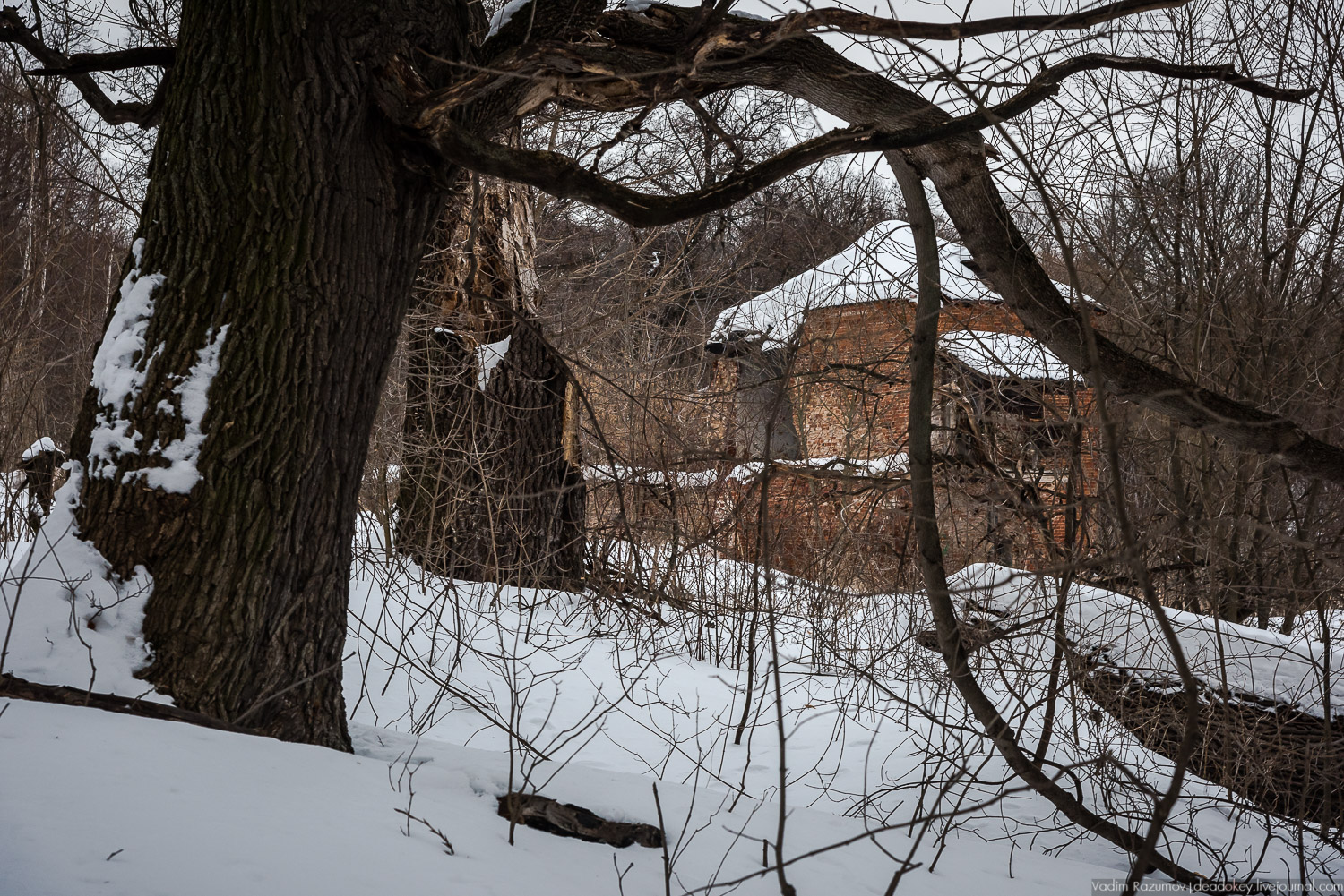 Богородицк, заброшенное здание бани