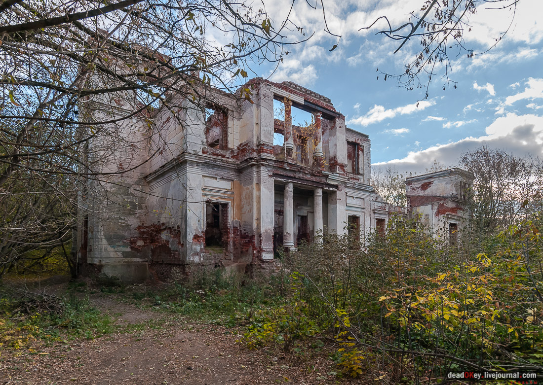 Костино
