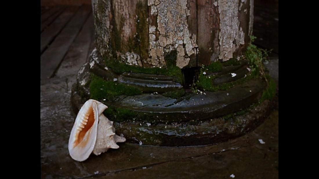 фильм Дворянское гнездо (1969).