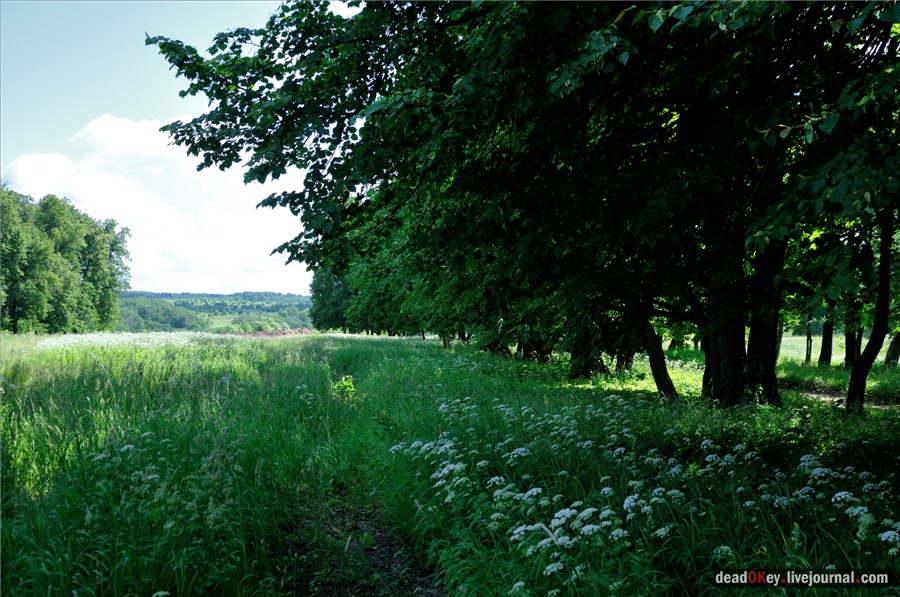 усадьба Петровское (Большепетровское)