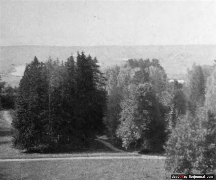 усадьба Введенское