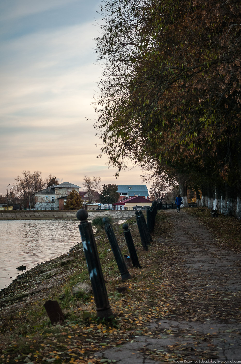 Богородицк, ограда набережной дворцового пруда