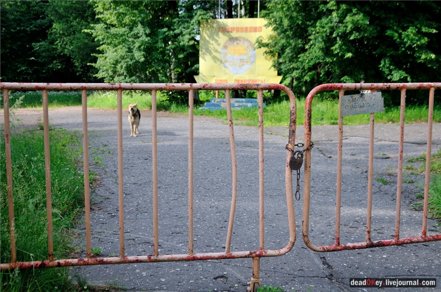 усадьба Кудрявцево