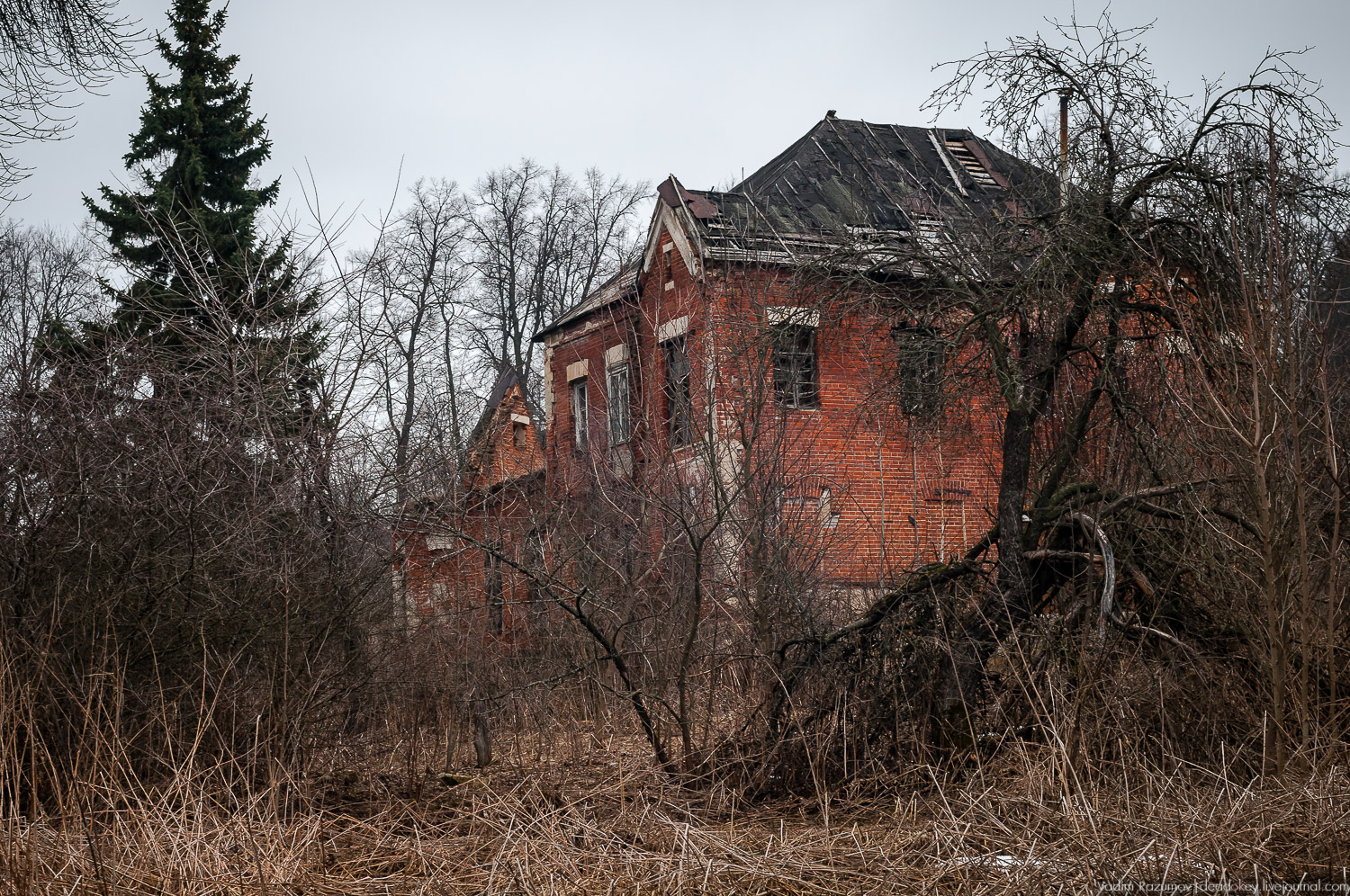 Усадьба Сенницы Усадьба Сенницы