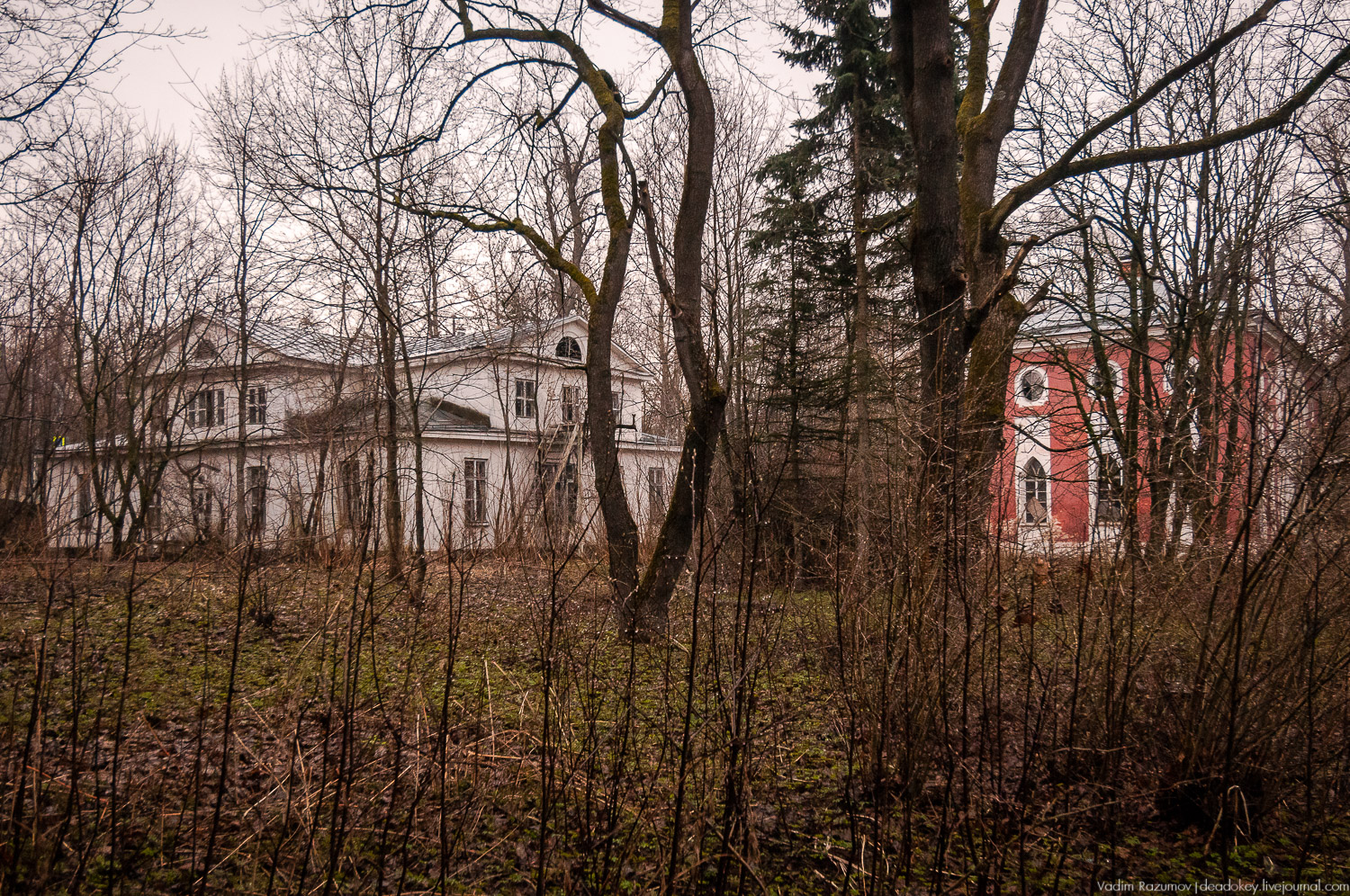 усадьба Петрово (Дурнево, Петрово-Дальнее), Красногорский район, Московская область