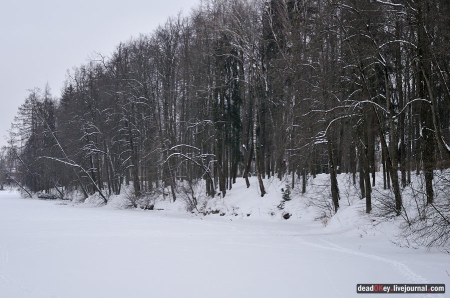 усадьба Остафьево