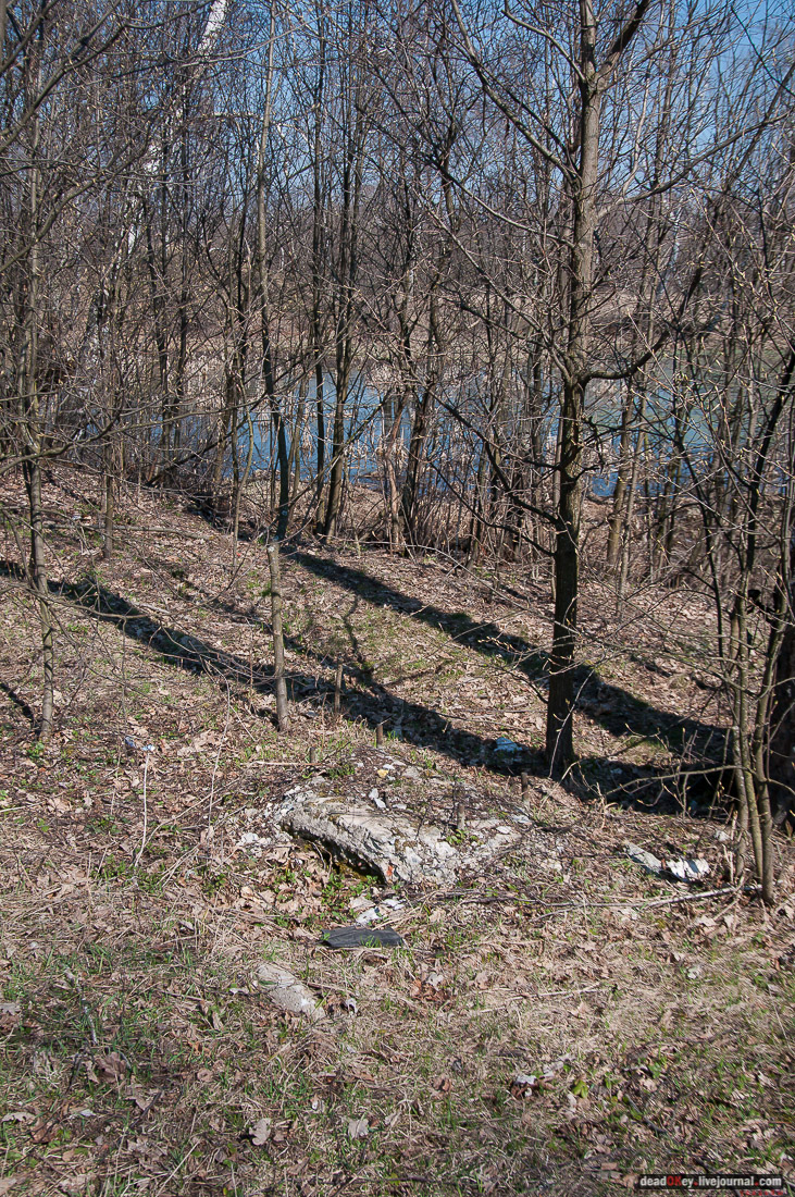 усадьба Савинское (исследование масонского парка)
